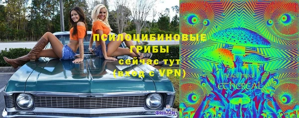 мдпв Тавда
