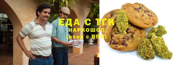 мдпв Тавда