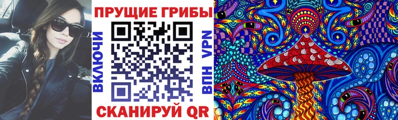 Галлюциногенные грибы Psilocybine cubensis Петропавловск-Камчатский