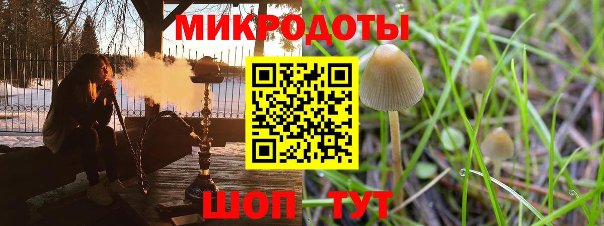 Галлюциногенные грибы Cubensis  Вход с VPN  Петропавловск-Камчатский  Псилоцибиновые грибы Psilocybine cubensis 